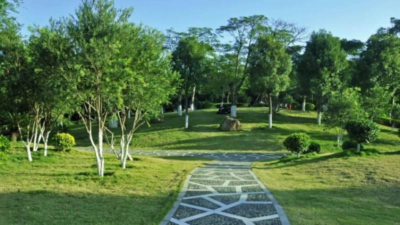 S16总决赛举办城市怎么查?主办地选择逻辑与观赛信息获取指南